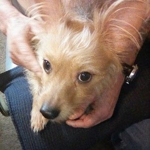 Meet your Posher, Anthony